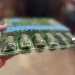 Cannabis Clones Mix & Match 6 Pack