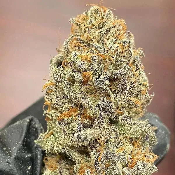 truffle cake clone