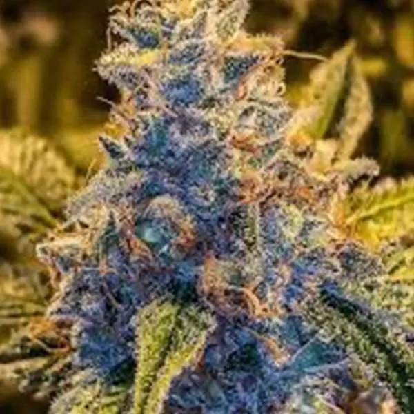 peach cobbler clone