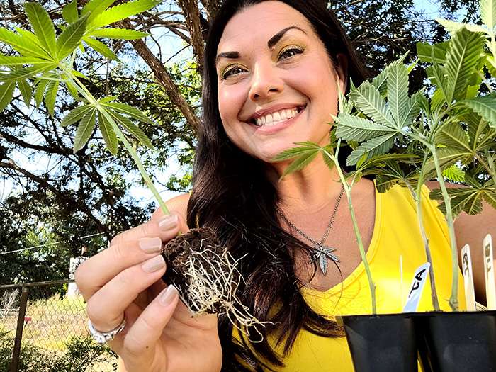 marijuana clones MI customer jen