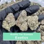 THCa Flower Clearance