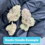 THCa Small Buds