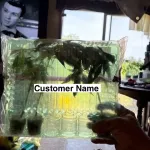 ReviewX
